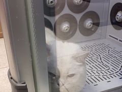 -FAELING PETS美天灵宠物(富力广场店)
