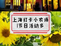 -前小桔亲子创意农场·草莓采摘·露营烧烤