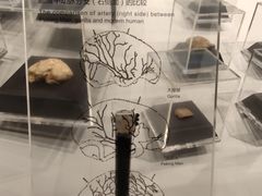 -周口店北京人遗址公园