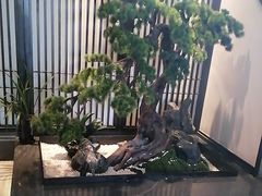 -溪畔•新徽菜(碧湖云溪店)