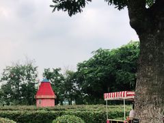 -东莞植物园