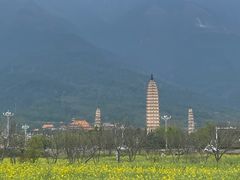 -三塔倒影公园