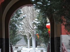 -月坛公园