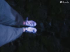 -碧海金沙