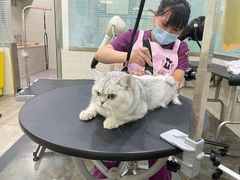 -暖阳宠物医院·犬猫康复中心·骨科
