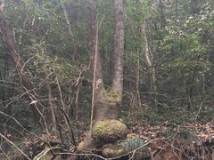 -小格里自然风景区