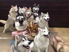 -TrueLove @ Neverland (Husky Cafe)