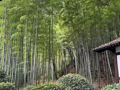 -兰亭风景区