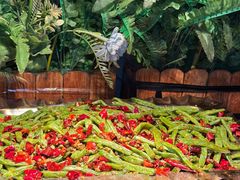 -聚盛源蒸汽海鲜火锅烤肉自助(巨川金海岸购物广场店)