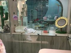 -BABIT巴比特宠物(MOMOPARK店)