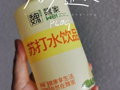 -魏家凉皮(旺都店)