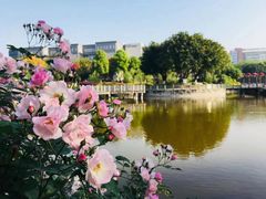 -西南政法大学(渝北校区)