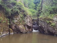 -茅兰沟国家森林公园