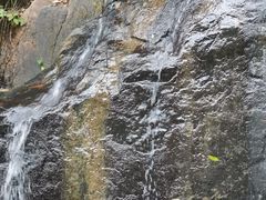 -水濂山森林公园