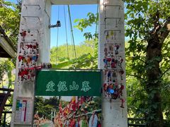 -西双版纳原始森林公园
