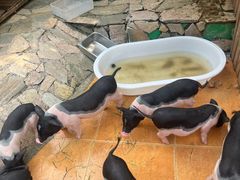 -HERRE·FARM 赫尔露营农场·团建聚会包场