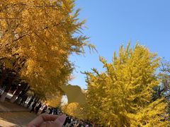 -辽宁大学(崇山校区)