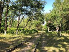 -永定河休闲森林公园