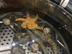 海鲜一锅蒸-福泉海码头(六里山店)