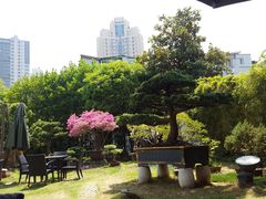 -大可堂普洱茶馆(襄阳南路馆)