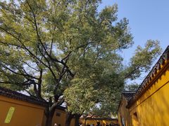 -西园戒幢律寺