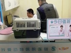 -瑞派宠物医院·24h·骨外科·皮肤科·全科宠物医疗转诊中心(沈阳浑南院)