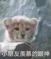 -宅恩特披萨(百汇城店)