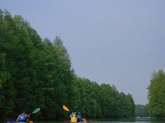 -上海海湾国家森林公园