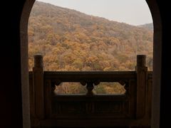 -灵谷景区