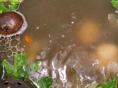-盡膳口福·百年汤方火锅(科华北路店)