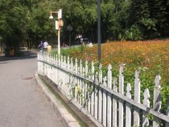 -晓港公园