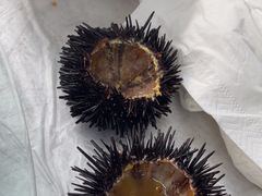 -众味海鲜大排档·活海鲜·潮汕味(南澳店)