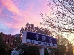 -泰丰公园