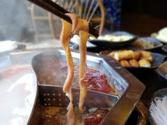 -蜀香居鲜毛肚火锅