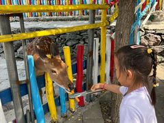 -西部长青自然儿童乐园