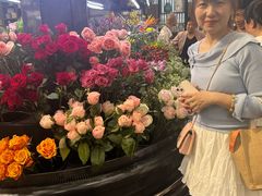 -荷兰花海