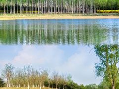 -马家湾湿地公园