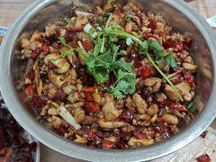 -食神又名厕所兔