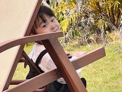 -美的鹭湖森林度假区