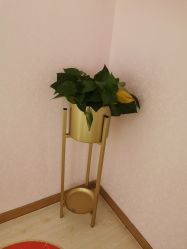 -薇兰专业脱毛连锁机构