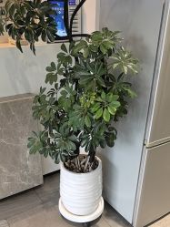 -LJOY丽锦造型·烫发染发