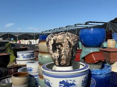 -龙大花卉苗木市场