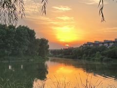 -马家湾湿地公园