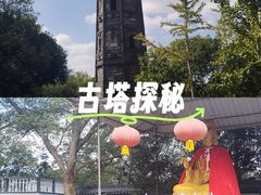 -上海佘山国家森林公园天马山园