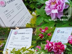 -太阳宫公园