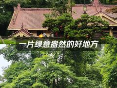 -青城山