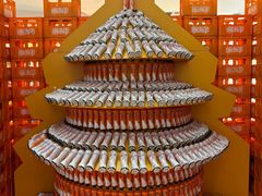 -北京华联购物中心(天通苑店)