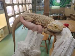 -藦茜花园宠物主题亲子互动体验馆(国顺东路店)