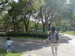 -新江湾城公园