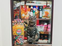 -天幕新彩云国际影城(激光巨幕店)